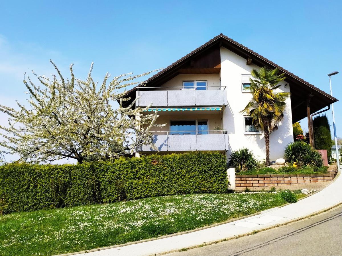Haus Kramer Apartment Bad Bellingen Luaran gambar